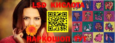 гашик Кинель
