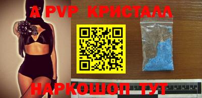 гашик Кинель