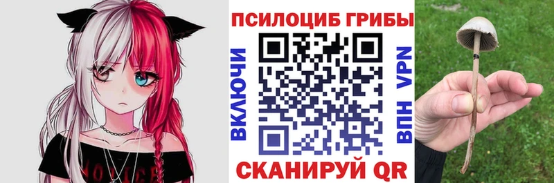 Псилоцибиновые грибы Magic Shrooms Усинск
