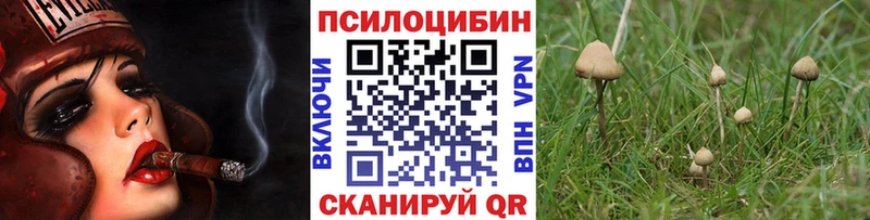 сколько стоит  мориарти Telegram  Галлюциногенные грибы GOLDEN TEACHER  Усинск 