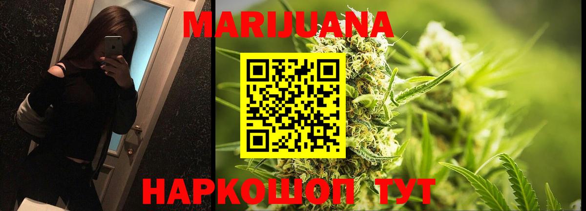 Конопля гибрид Усинск